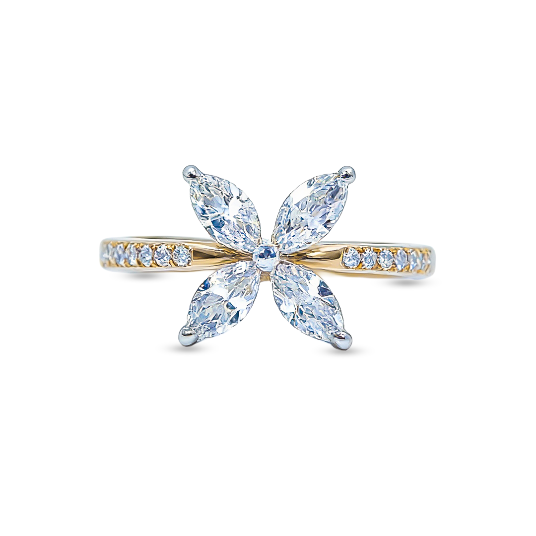 Orbit Ring